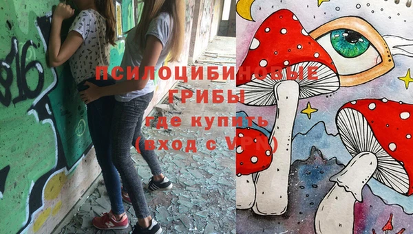 метадон Коряжма